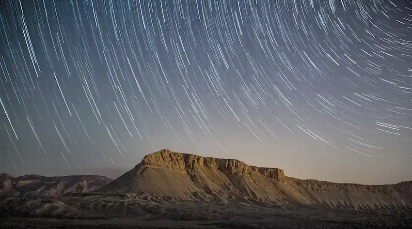 Introducing Zenarmor 1.12: Important New Capabilities for MSSPs and Enterprises