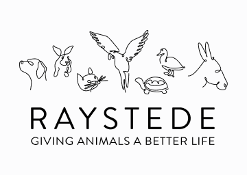 Raystede partners with Zenarmor for network security solutions